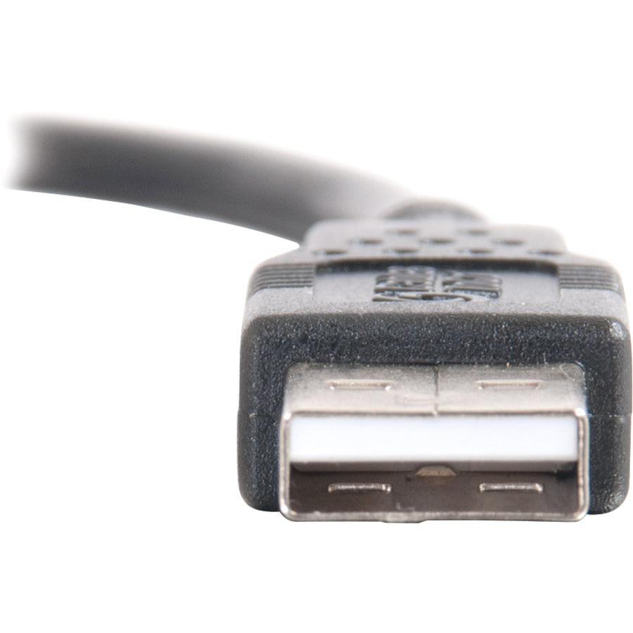 Alternate-Image5 Image for C2G 2m USB Cable - USB 2.0 A to USB A - M/M