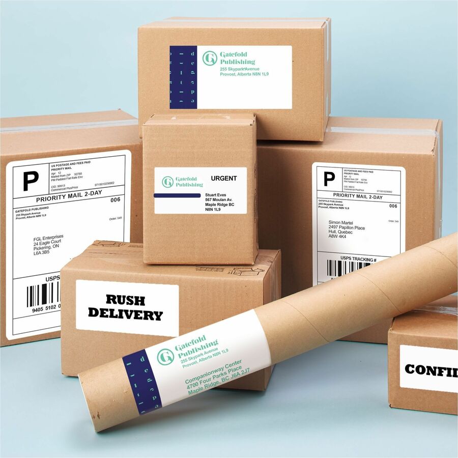 White Rectangle Labels with Sure Feed™ Technology TrueBlock&reg;, 2" x 4" , Permanent Adhesive, for Laser and Inkjet Printers - 05963