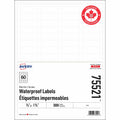 Rectangle Waterproof Labels with Sure Feed™ Technology TrueBlock&reg; 2/3" x 1-3/4" , Permanent Adhesive, for Laser Printers