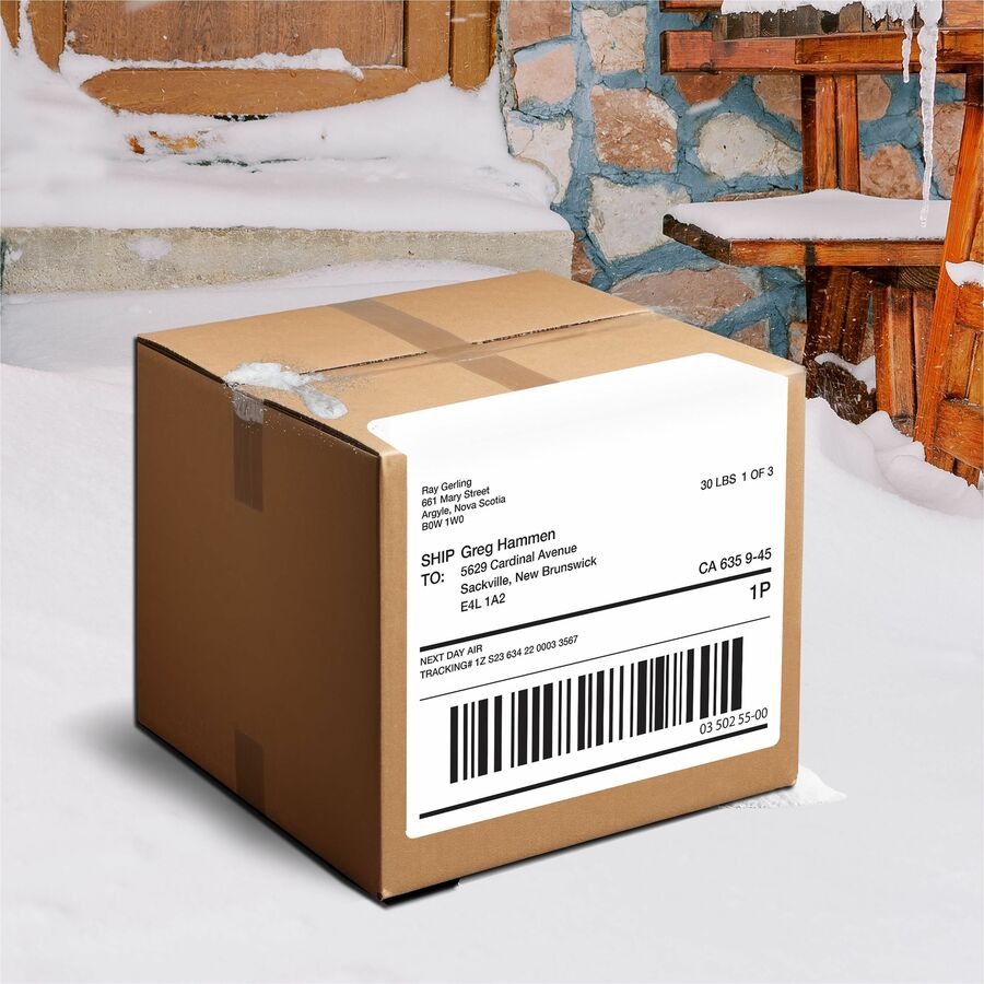 Avery Rectangle Waterproof Labels TrueBlock&reg; 11" x 8-1/2" , Permanent Adhesive, for Laser Printers - 35525