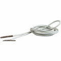 Baumgartens Elastic Badge Holder Cord